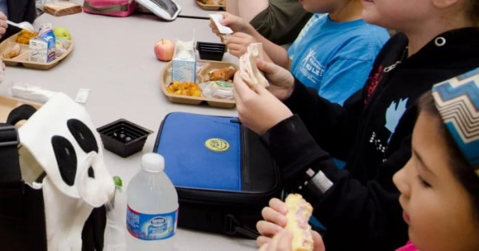 does homeschooling affect food stamps terbaru