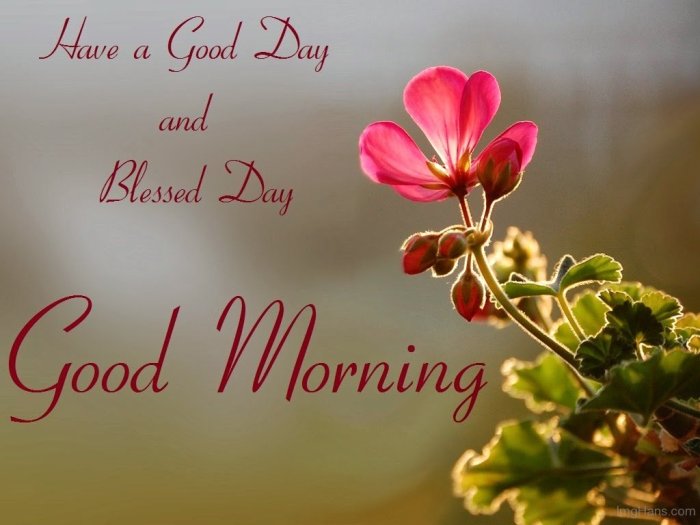blessed good day wishes