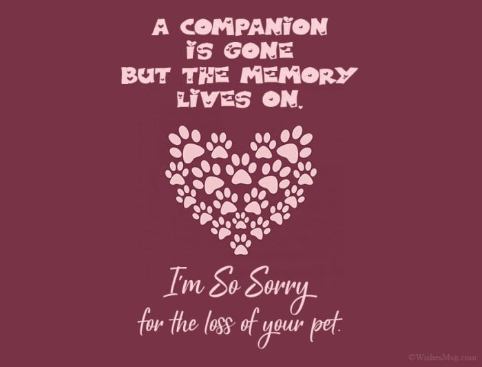 condolence messages for loss of pet