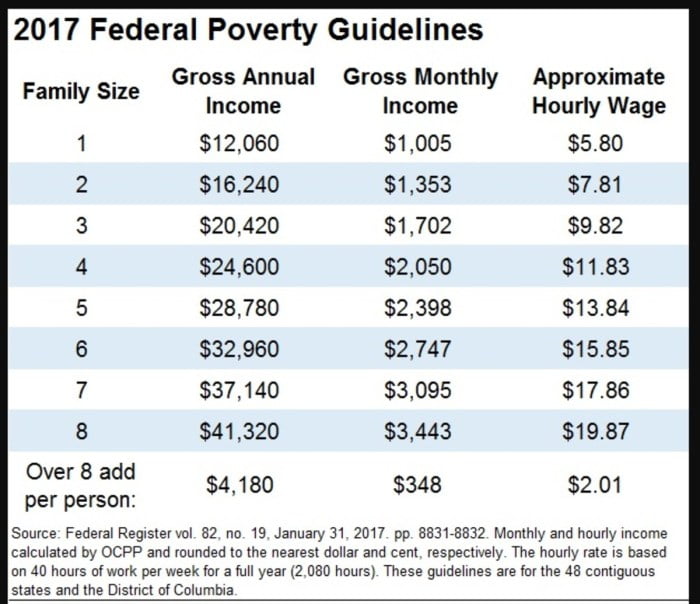 does ssi count as income for food stamps terbaru