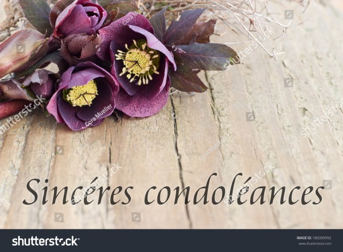 condolence message in french