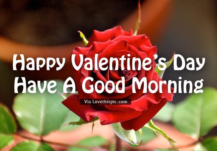 good morning valentine day wishes terbaru