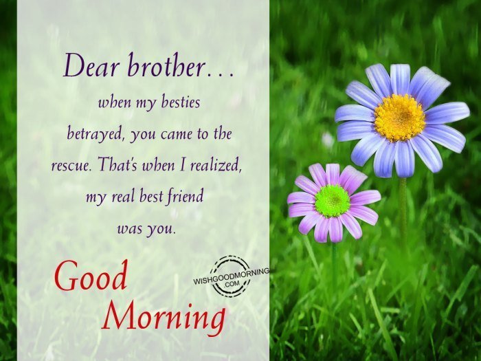 brother dear morning good wishes life many people wishgoodmorning come
