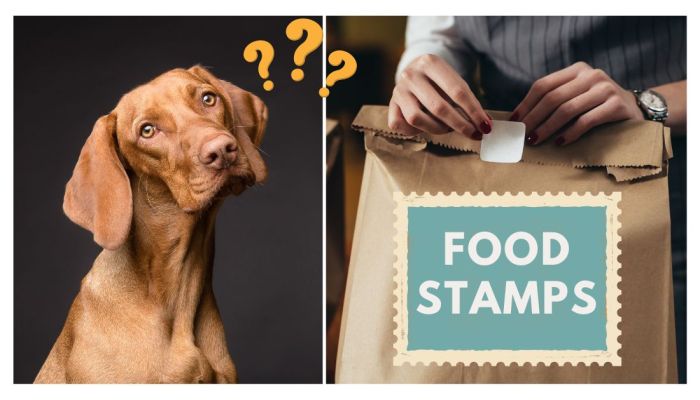can u buy dog food with food stamps terbaru
